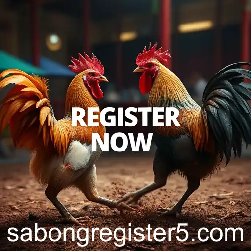 The Rise of Online Sabong in 2025