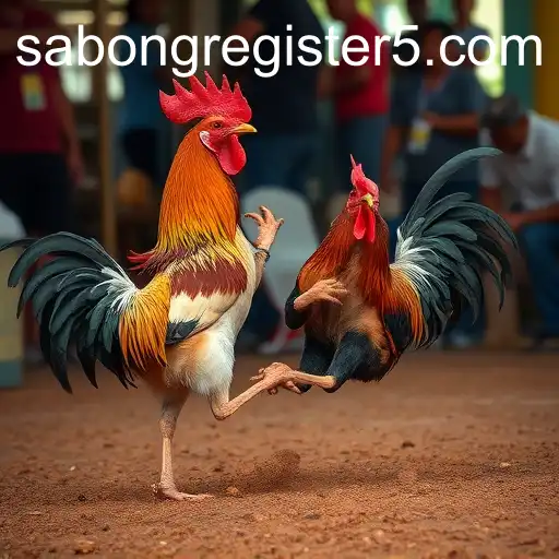 The Rise of Sabong: Tradition Meets Digital Age